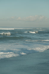 files/DSCF2387.jpg
